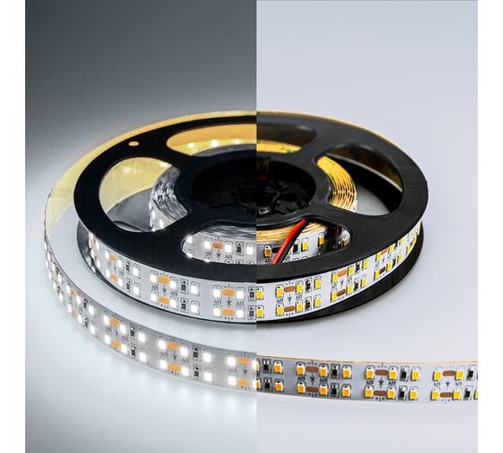 Светодиодная лента Eleganz LUX 2835 240 LED 19.2W/M 12V холодная 6000К IP20 ДВУХРЯДНАЯ EL-LS-19W