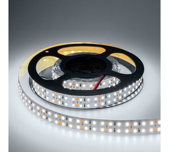 Светодиодная лента Eleganz LUX 2835 240 LED 19.2W/M 12V холодная 6000К IP20 ДВУХРЯДНАЯ EL-LS-19W