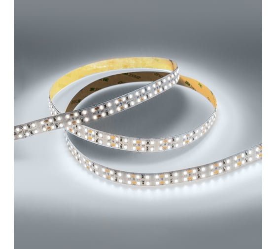 Светодиодная лента Eleganz LUX 2835 240 LED 19.2W/M 12V холодная 6000К IP20 ДВУХРЯДНАЯ EL-LS-19W