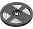 Светодиодная лента GTV FLASH 3528, 120LED/M, 12V, IP20, 9,6W/M, 8MM, 2M, С ПРОВОДОМ MINI AMP, НЕЙТРАЛ.БЕЛ LD-3528-600-20-NE-2MKK 1