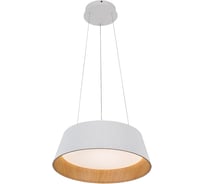 Подвесной светодиодный светильник Gerhort G52101/1WT