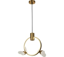 Потолочный светодиодный светильник Gerhort G61367/2BRS