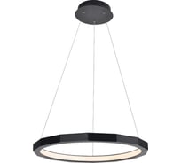 Потолочный светодиодный светильник Gerhort G51248/1BK