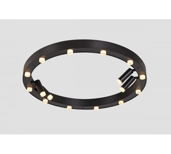 Светильник потолочный ElegantLight DZN- black 9134 1