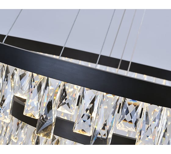 Светильник потолочный ElegantLight DZN- черный 4516