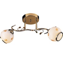 Светильник потолочный Lumin'arte Moldi-CL60E27*2FGD