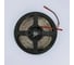 Светодиодная лента ELEGANZ Standard 2835 240 LED 24W/M 12V холодная 6000К EL-SS-24W 5