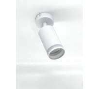 Светильник truEnergy поворотный с матовым кольцом с цоколем GU10 D54xH100мм алюминий белый 21333