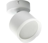 Светильник накладной truEnergy поворотный с матовым кольцом с цоколем GX53 D82xH60мм алюминий белый 21037
