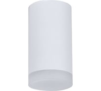 Светильник накладной truEnergy с матовым рассеивателем с цоколем GU10 D55xH100мм алюминий белый 21302