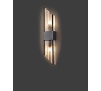 Светильник настенный ElegantLight DZN- BLACK/ЧЕРНЫЙ 4437