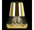 Настольная лампа LOFT IT Brothers 10233/E Gold 2