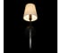 Настенный светильник LOFT IT Cosy 10308W Black 6