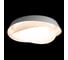 Потолочный светильник LOFT IT Petale 10256 White 2