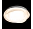 Потолочный светильник LOFT IT Petale 10256 White 4