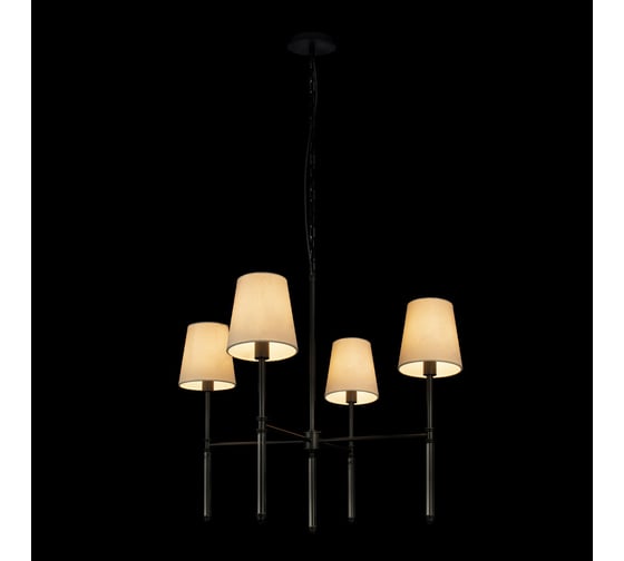 Подвесной светильник LOFT IT Cosy 10308 Black