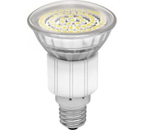 Светодиодная лампочка KANLUX LED60 SMD E14 CW/ 8935