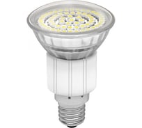 Светодиодная лампочка KANLUX LED60 SMD E14 WW/ 8934