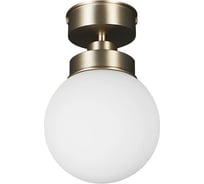 Потолочный светильник Freya Kron Графит FR5339CL-01N