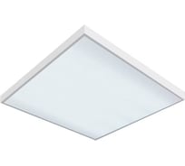 Светильник светодиодный Подольский Завод Светотехники Грильято FS-RO-A2 ЭКО 64Вт, 5000К,IP40, микропризма с БАП на 3 часа с БАП на 3 часа FS-RO-A2-E-A2-064-40-50-110-MPR НФ-00017395