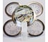 Люстра JUPITER LIGHTING Пульт- радио 2,4G, 80W LED 230V DK-6060/4 хром 6