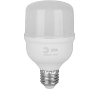 Лампа светодиодная ЭРА RED LINE LED POWER T7025W6500E27 R E27 R 25 Вт колокол холодный белый свет Б0063838