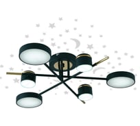 Люстра JUPITER LIGHTING 3000K-49,5W;6000K-49,5W;4000K-99W XI-3231/6 BK+FGD