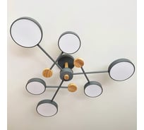 Люстра JUPITER LIGHTING 3000K-45W;6000K-45W;4000K-90W XI-3221/6 Grey+WOOD