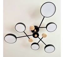 Люстра JUPITER LIGHTING 3000K-45W;6000K-45W;4000K-90W XI-3221/6 BK+WOOD