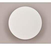 Настенный светодиодный светильник Italline IT02-017 white