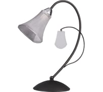 Настольная лампа Seven Fires ЭСПЕН 36013.04.53.01