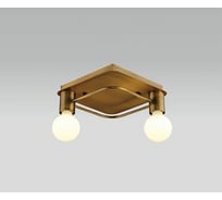 Накладной потолочный светильник Italline Vega PL 6088/2 bronze