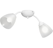 Люстра Vitaluce V3737-0/2PL