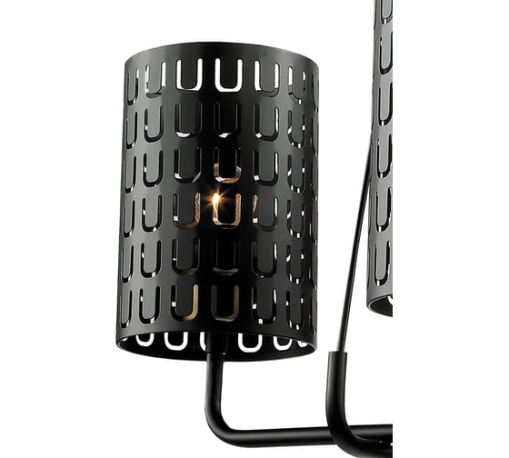 Подвесная люстра Lumien Hall ТЕЙЛ 4002/4P-BK-GR