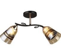 Потолочная люстра WEDO LIGHT СПИНЕЯ 66372.01.69.02