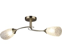 Потолочная люстра WEDO LIGHT АДРАРА 66266.01.05.02