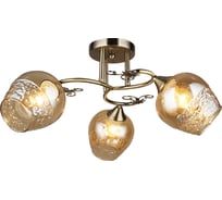 Потолочная люстра WEDO LIGHT АЛЬБИ 66364.01.05.03