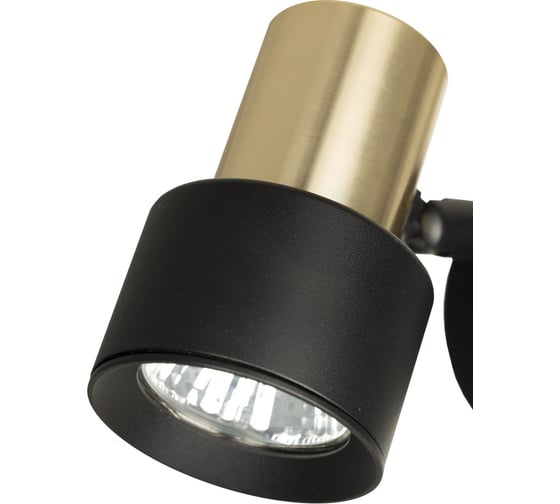 Спот поворотный с выключателем Citilux SAT Чёрный+Золото CL505611