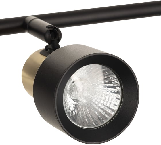 Спот поворотный с выключателем Citilux SAT Чёрный+Золото CL505641