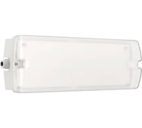 Светильник LEDeffect LED Effect POINTER 3Вт 330лм 6500К IP65 КСС Д аварийно-эвакуационный, настенно-потолочный, рассеиватель опаловый LE-СБО-72-003-7021-65Х