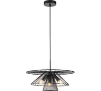 Светильник INDIGO 10016/3P Black V000287