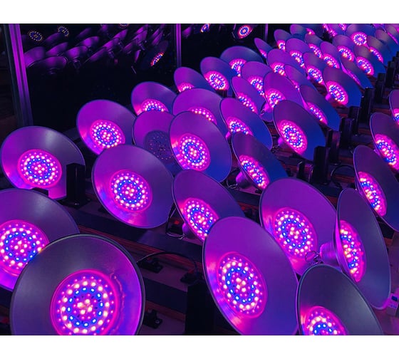 Светодиодный фитосветильник URM FITO-PL-24, 48 LED, 220 В, 24 Вт, IP65 F10027
