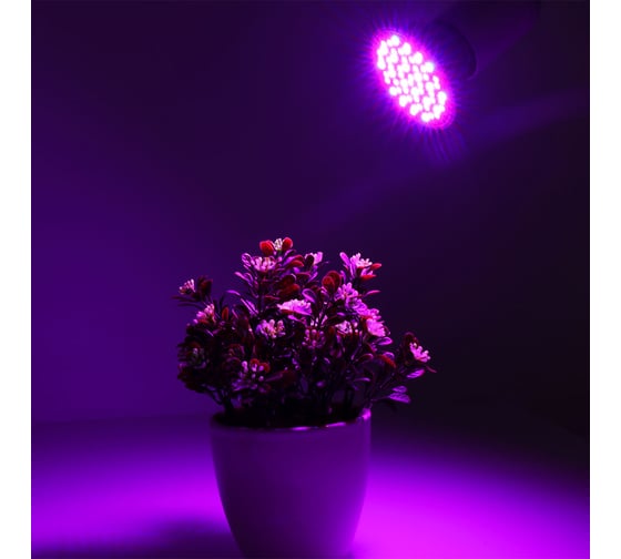Фитолампа URM, FITO-P27-60, Е27, 60 LED, 220 В, 6 Вт, IP42 F10019