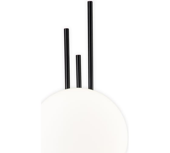 Светильник INDIGO 14007/1W Black V000045L