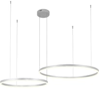 Светильник INDIGO 14001/2P Silver V000012L