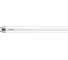 Светодиодная лампаPHILIPS Ecofit LEDtube 600мм 8Вт 840 T8 929001276237 1