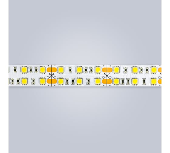 Светодиодная лента ELEGANZ LUX 24V 5050 120 LED (28.8W/M) теплая 3000К IP20 двухрядная, 5м EL-24V-28WW