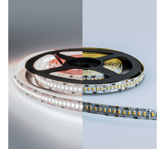 Светодиодная лента ELEGANZ LUX 24V 3014 240 LED 24W/M Холодная 6000К, 5м EL-24V-24W