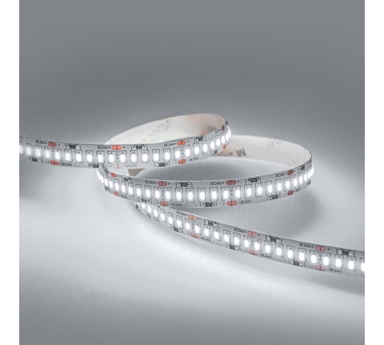 Светодиодная лента ELEGANZ LUX 24V 3014 240 LED 24W/M Холодная 6000К, 5м EL-24V-24W