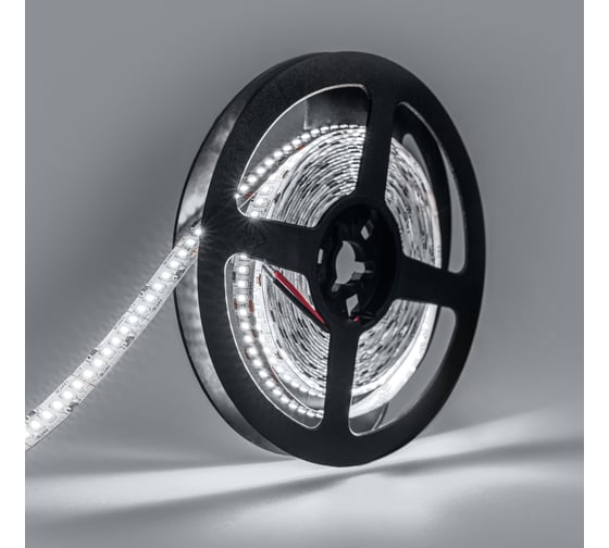 Светодиодная лента ELEGANZ LUX 24V 3014 240 LED 24W/M Холодная 6000К, 5м EL-24V-24W